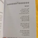 کتاب سایه روشن  ( مجموعه شعر نوجوان  طنز  تربیتی ) - Image 2