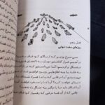 کتاب در جستجوی سیمرغ  ( اقتصاد  توسعه گذاری ) - Image 2