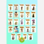 مجموعه کامل 25 جلدی ( قهرمان من ) - Image 2