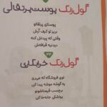 کتاب دفتر شعر شیطان  ( کودکان ) - Image 3